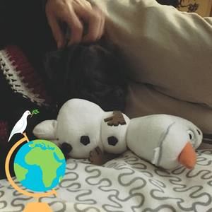 Meet your Posher, Marco